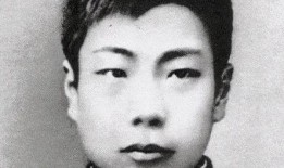 鲁迅最新爆料视频大全播放,揭秘历史真相，引发热议